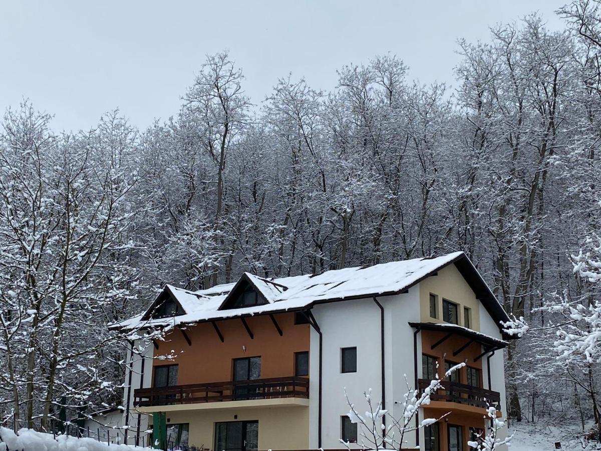 Pensiunea Lui Calin Ocnele Mari Exterior photo