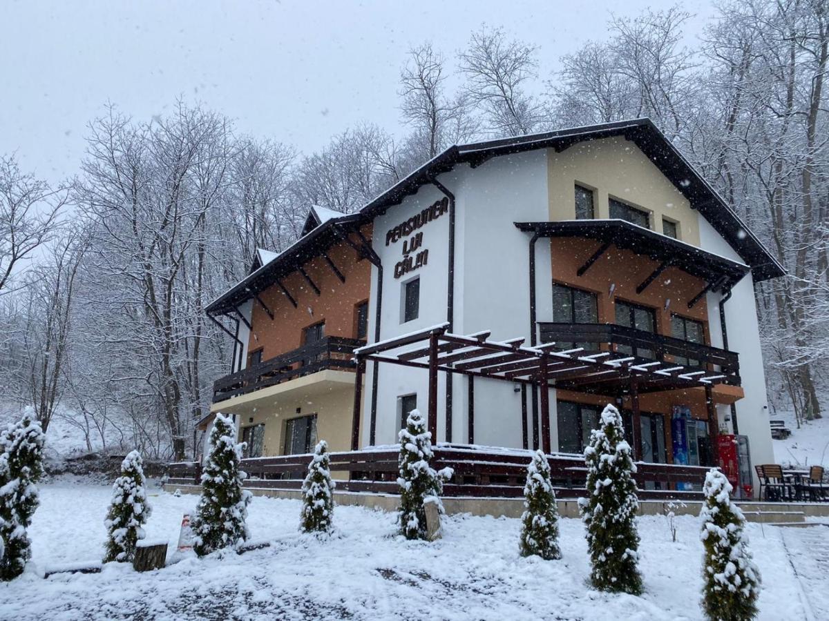 Pensiunea Lui Calin Ocnele Mari Exterior photo